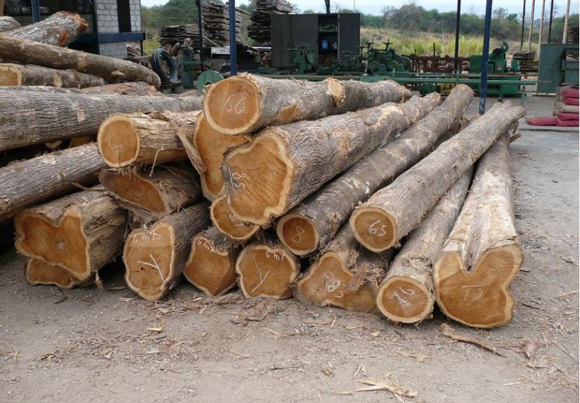 gỗ xoan đào